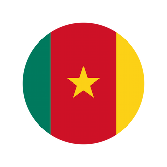 flag cameroun