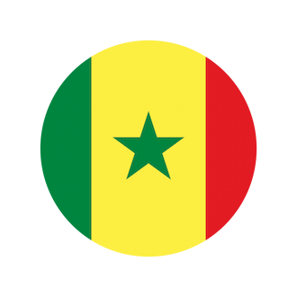 flag senegal