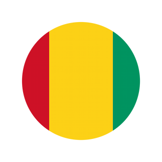 flag guinee