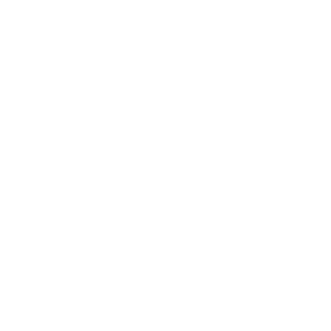 Logo CAN handball Seniors-Dames blanc